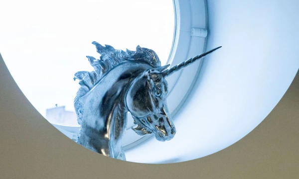 Vienaragis. Juditos Grigelytės (VŽ) nuotr.