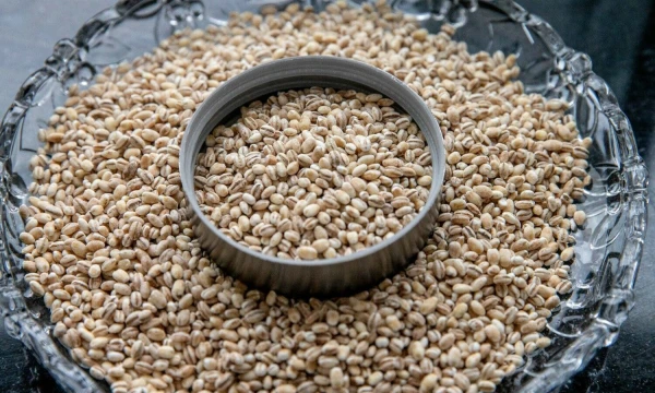 Juditos Grigelytės (VŽ) nuotr.