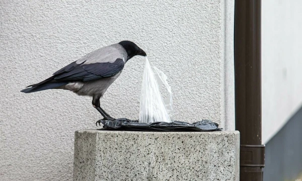 Juditos Grigelytės (VŽ) nuotr.