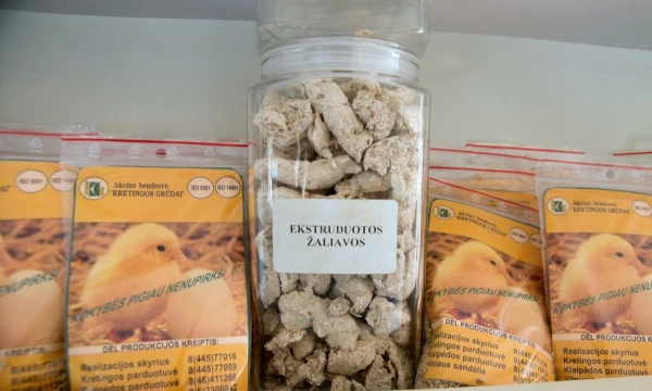 Algimanto Kalvaičio nuotr.