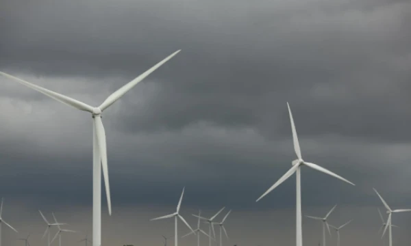 „Shutterstock“ nuotr.