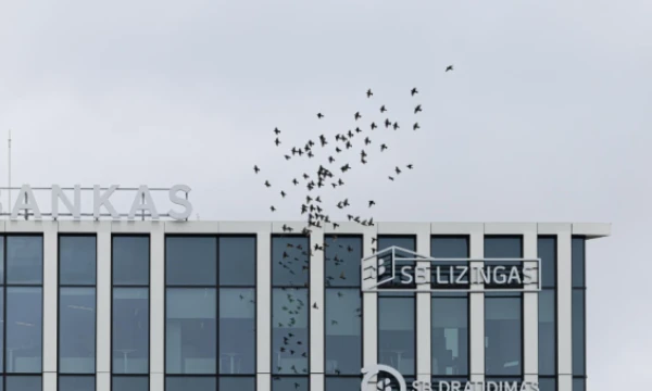 Vladimiro Ivanovo (VŽ) nuotr.