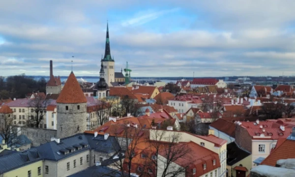 Talinas. Liucijos Zubrutės (VŽ) nuotr.