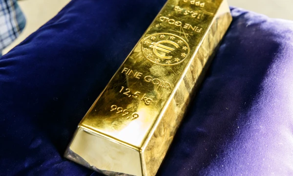 Vladimiro Ivanovo  (VŽ) nuotr.