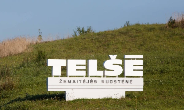 Kęstučio Vanago (BNS) nuotr.