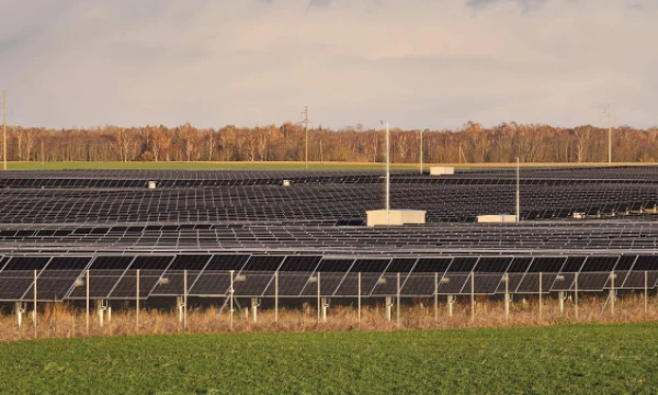 Lino Butkaus (VŽ) nuotr.