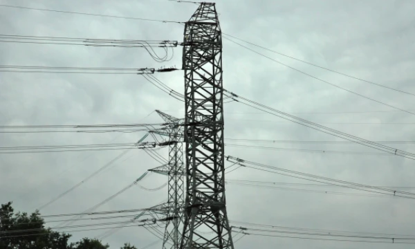 „LitPol Link“ elektros jungtis su Lenkija prie Alytaus. Naglio Navako (VŽ) nuotr.