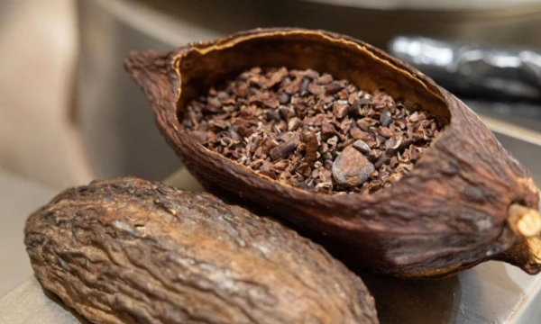 Vladimiro Ivanovo (VŽ) nuotr.