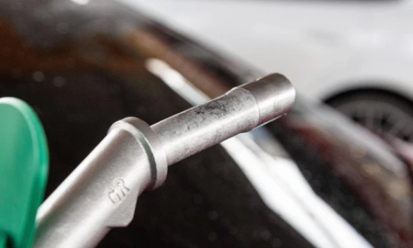 Vladimiro Ivanovo (VŽ) nuotr.