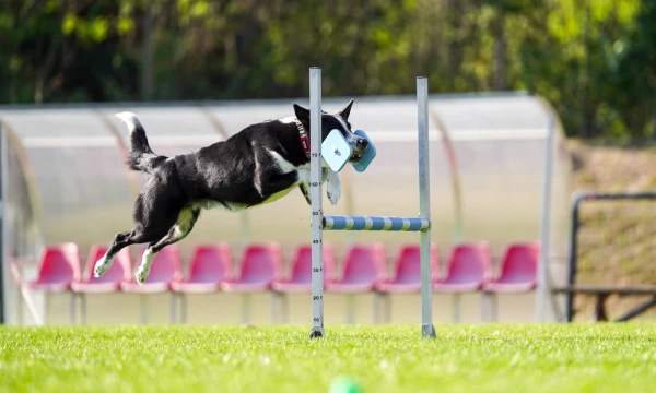 Asmeninio archyvvo nuotr.