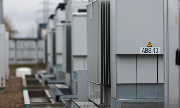 Energijos kaupiklių parkas. Skirmanto Lisausko (BNS) nuotr.