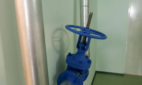 Naglio Navako (VŽ) nuotr. Naglio Navako (VŽ) nuotr.