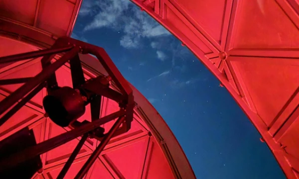 Lino Butkaus (VŽ) nuotr.