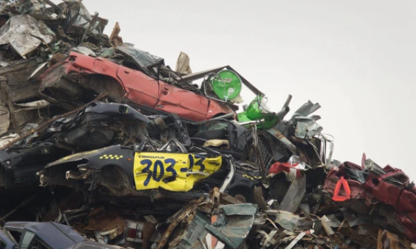 Algimanto Kalvaičio nuotr.