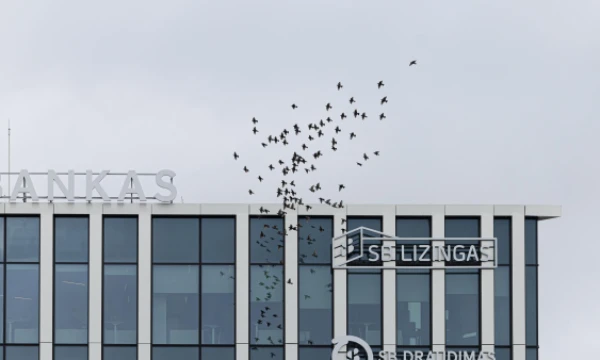 Vladimiro Ivanovo (VŽ) nuotr.