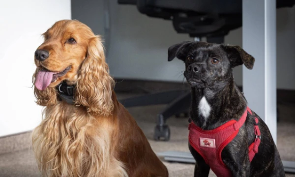 Vladimiro Ivanovo (VŽ) nuotr.