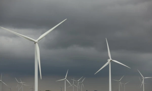 „Shutterstock“ nuotr.