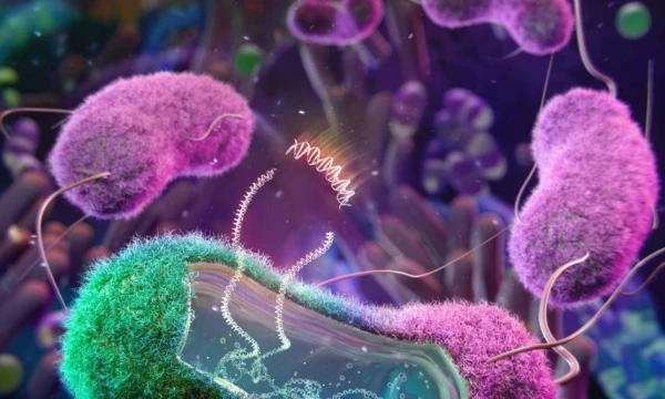 Thomo Leacho („Scanpix“) nuotr. 