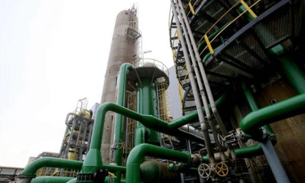 Algimanto Barzdžiaus nuotr.