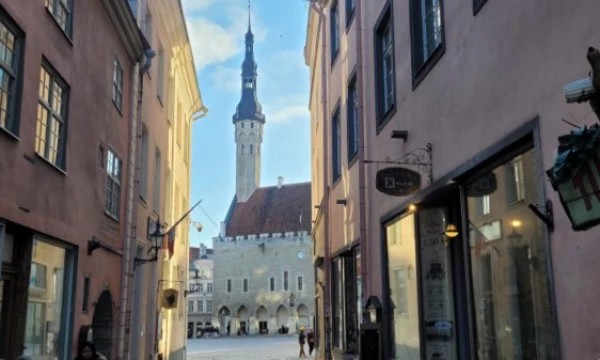 Talinas. Liucijos Zubrutės (VŽ) nuotr.