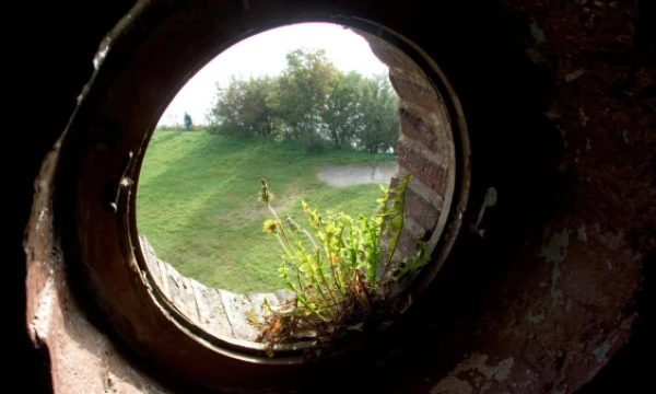 Juditos Grigelytės (VŽ) nuotr.