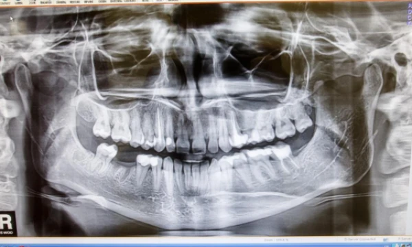 Vladimiro Ivanovo (VŽ) nuotr.