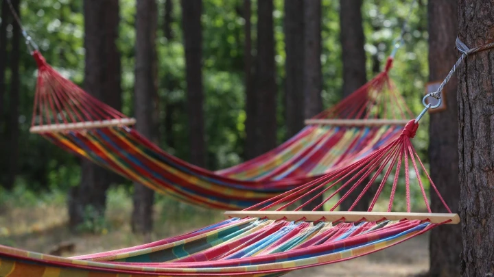 Dar kartą: mokslininkai ieško ryšio tarp snūstelėjimo dieną ir demencijos