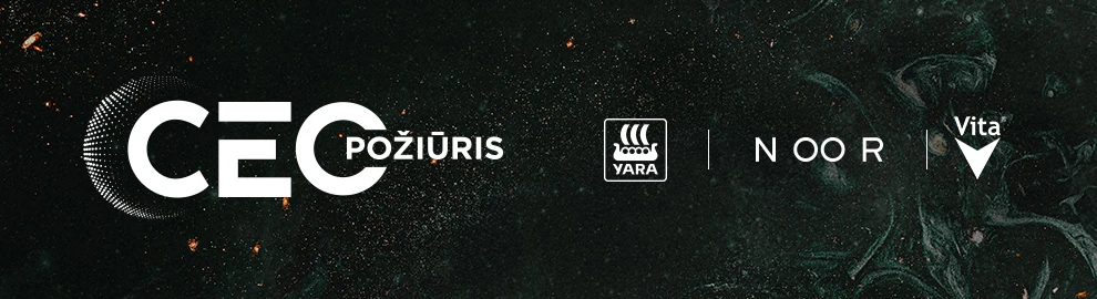 Įžvalgos