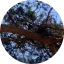 rgrg