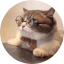 Fioleta