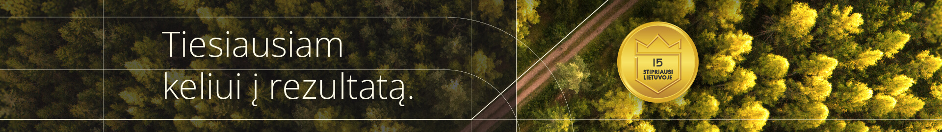 Vebinaras „Tiesiausiam keliui į rezultatą“