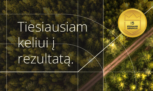 Vebinaras „Tiesiausiam keliui į rezultatą“