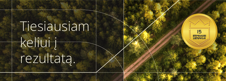 Vebinaras „Tiesiausiam keliui į rezultatą“
