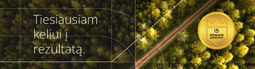 Vebinaras „Tiesiausiam keliui į rezultatą“